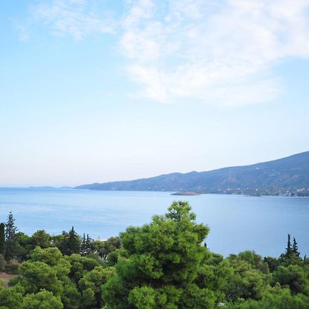 Maria Studios Poros Town Exteriör bild